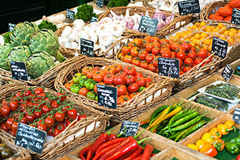 Ernährung Ernährung